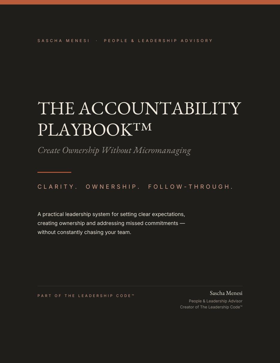 Cover of The Accountability Playbook™ by Sascha Menesi